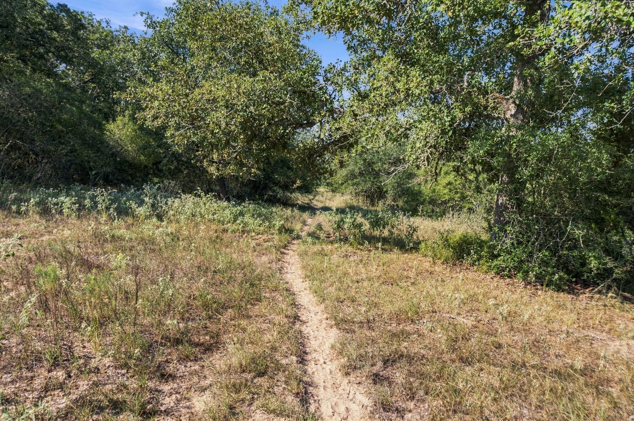 117/ Getty Texaco Road Hallettsville, TX 77964 - Photo 21 of 24 Gallery Image 21