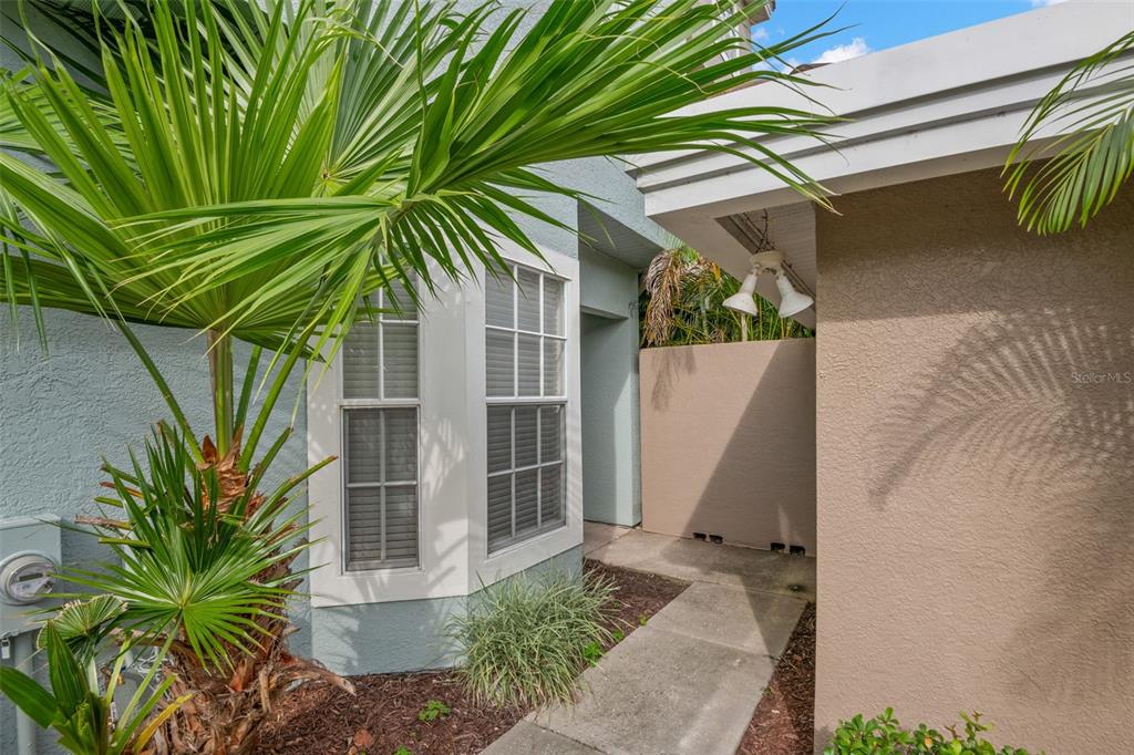 1644 Arabian Lane Palm Harbor, FL 34685 - Photo 3 of 52 a view of a house with a palm tree