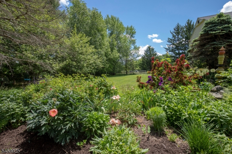13 Farmersville Road Califon, NJ 07830 - Photo 30 of 37 Gallery Image 30