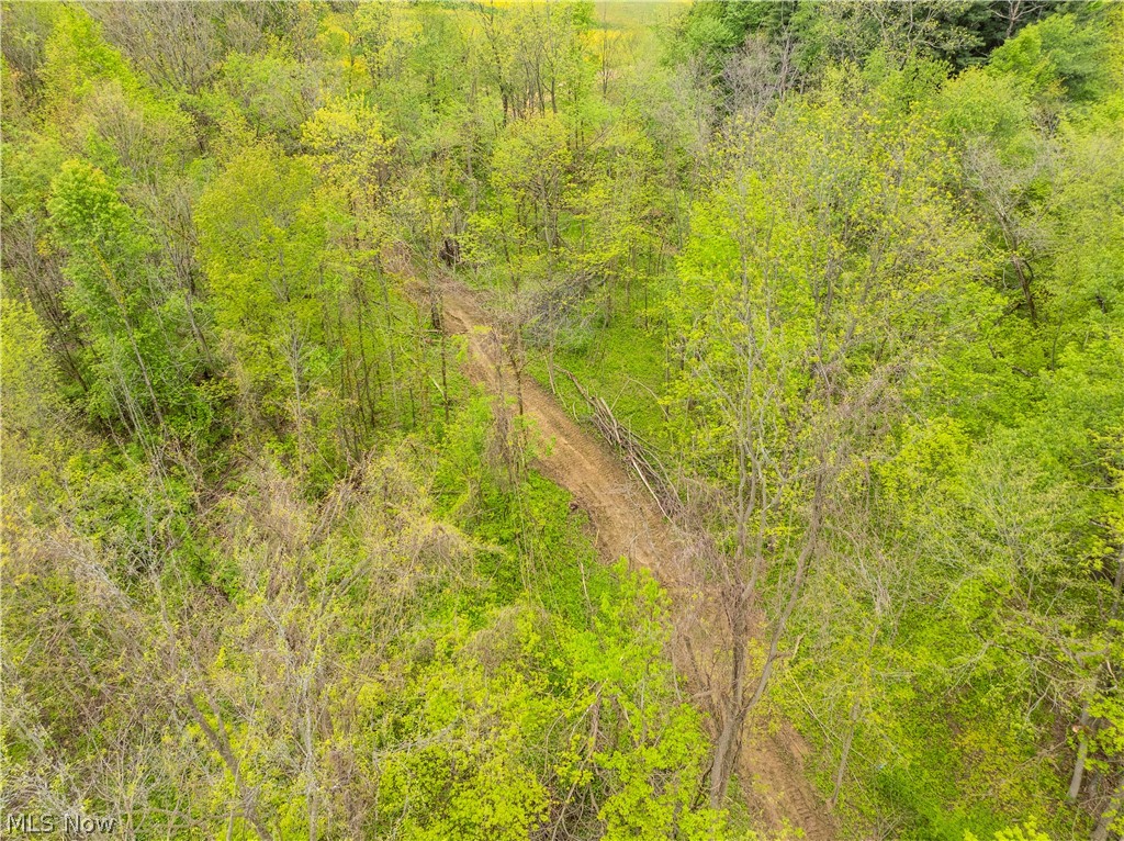 Garver Road Mansfield, OH 44903 - Photo 42 of 48