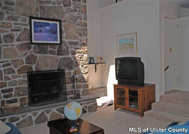 270 Pines Drive, Unit ROXBURY RUN Roxbury, NY 12421 - Photo 3 of 10 Photo 3