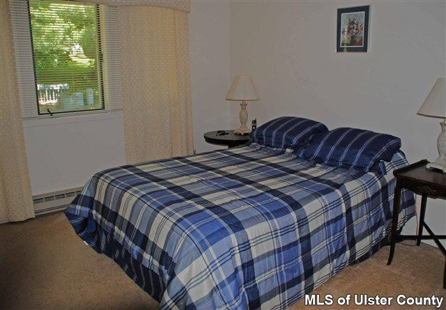 270 Pines Drive, Unit ROXBURY RUN Roxbury, NY 12421 - Photo 7 of 10 Photo 7