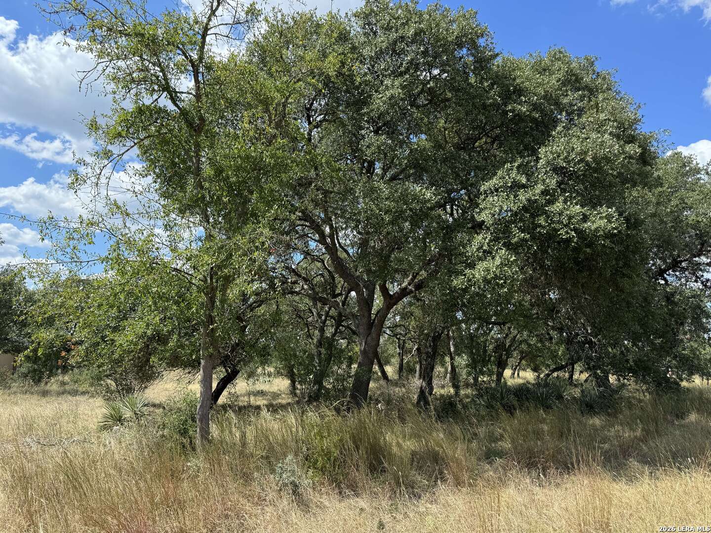 Lot 4-blk C Rio Circle Pipe Creek, TX 78063 - Photo 4 of 11