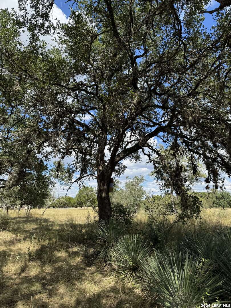 Lot 4-blk C Rio Circle Pipe Creek, TX 78063 - Photo 7 of 11