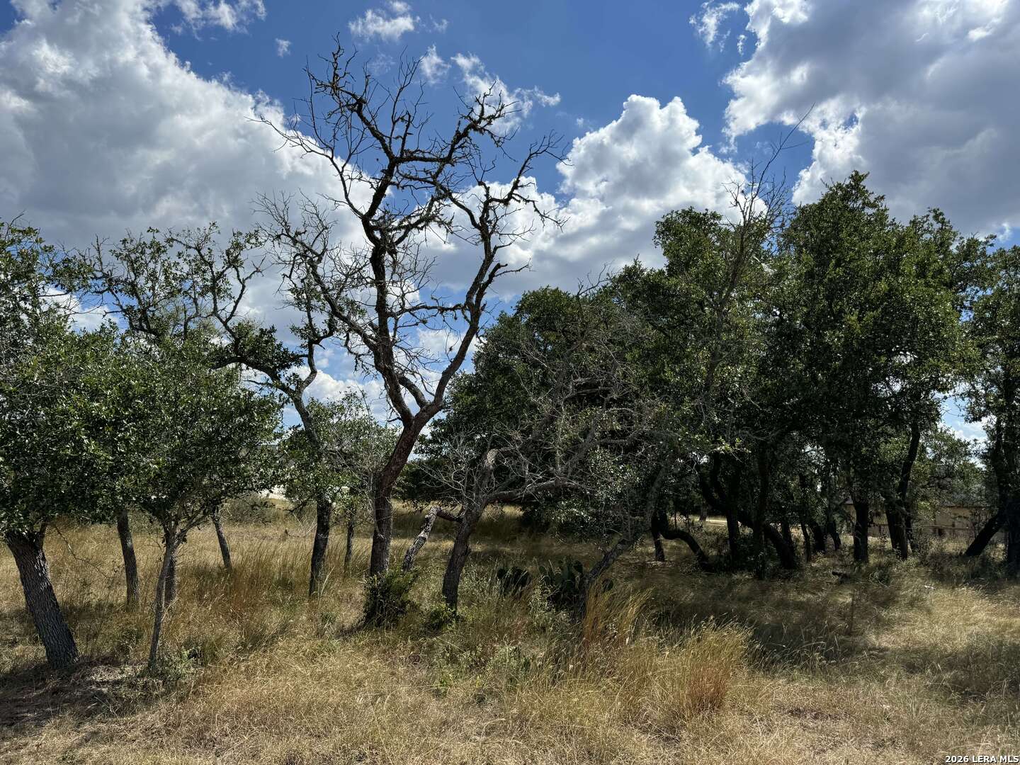Lot 4-blk C Rio Circle Pipe Creek, TX 78063 - Photo 9 of 11