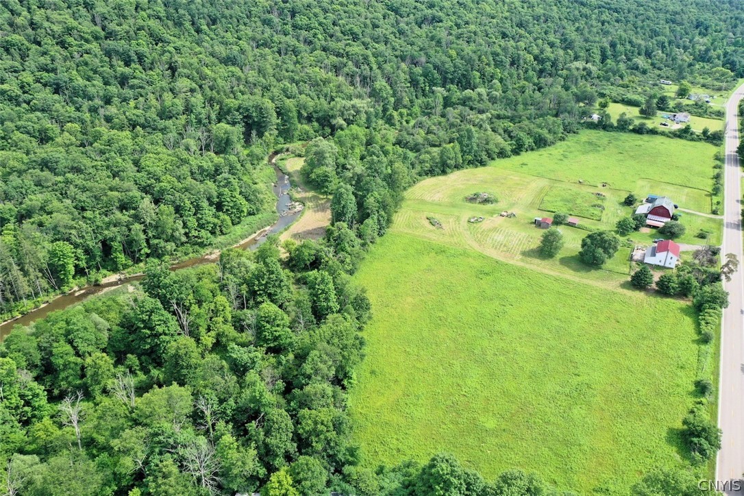 5430 Meads Creek Road Campbell, NY 14870 - Photo 4 of 48