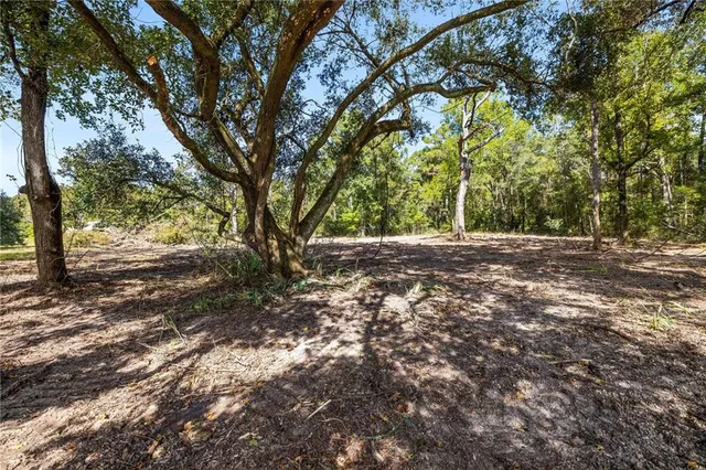 $85,000 | B-2 Bennett Road, Holden, LA 70744