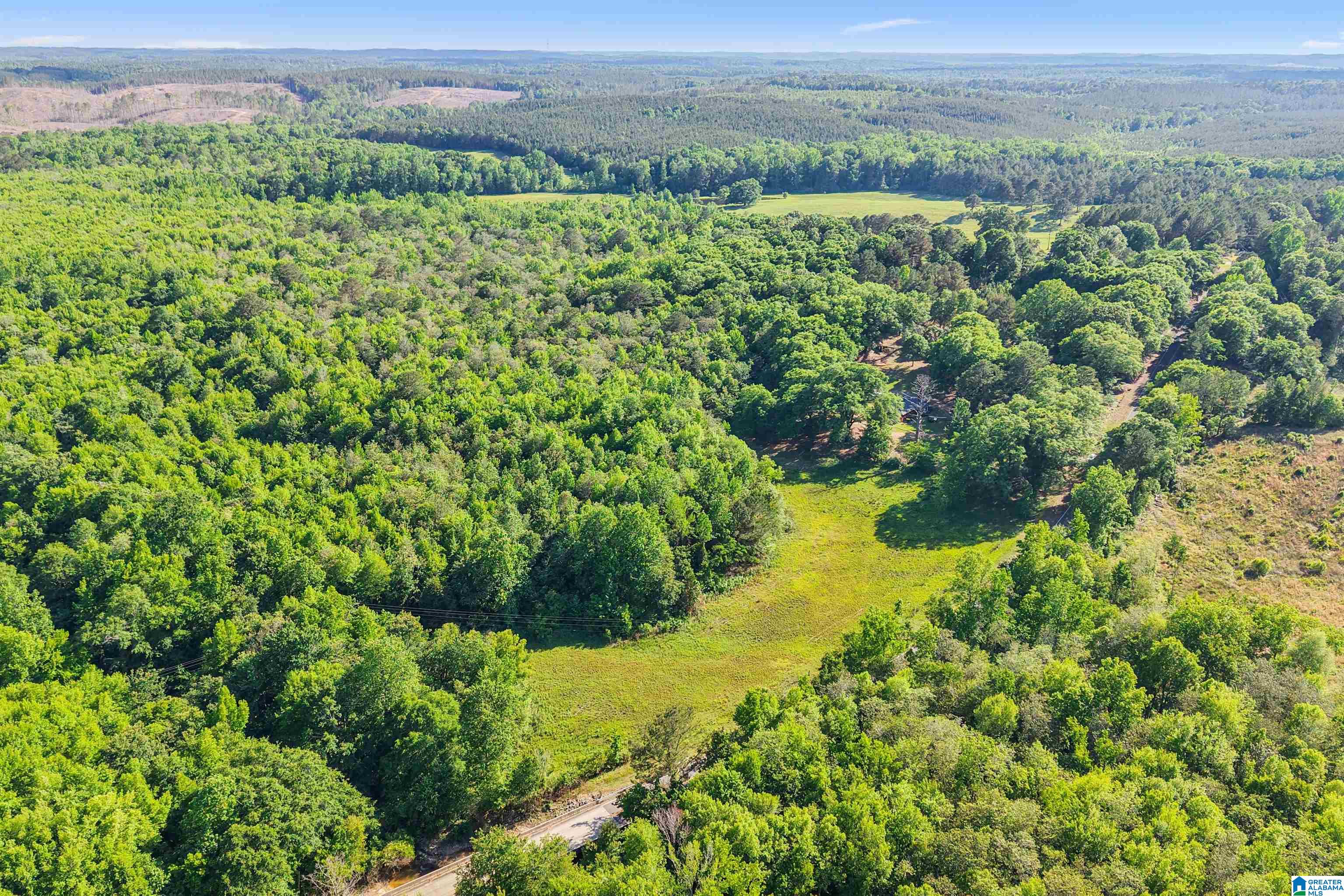 15038 Northside Road Northport, AL 35475 - Photo 45 of 62