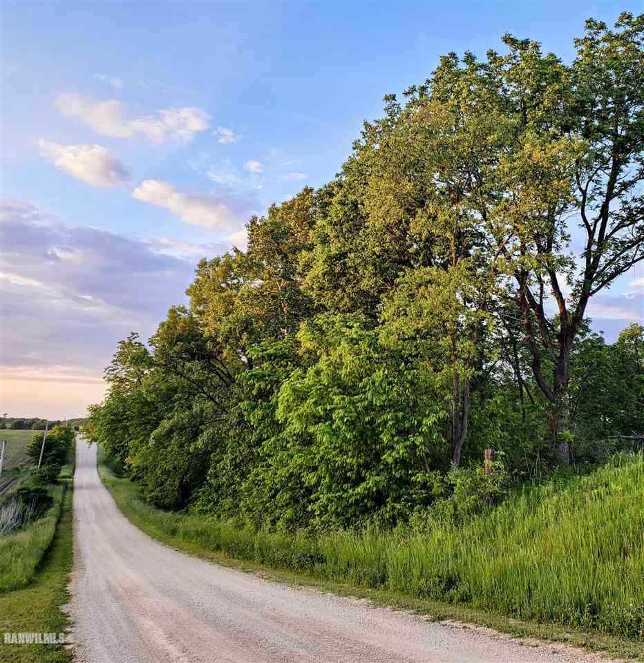 South Beyer Road Mt Carroll, IL 61053 - Photo 1 of 1 a view of a garden
