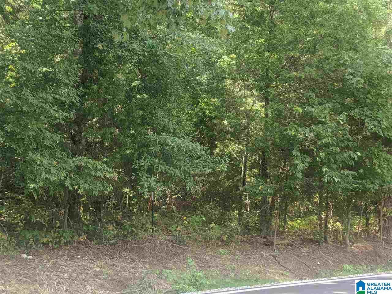 0 Old Broadwell Mill Road Jacksonville, AL 36265 - Photo 14 of 22