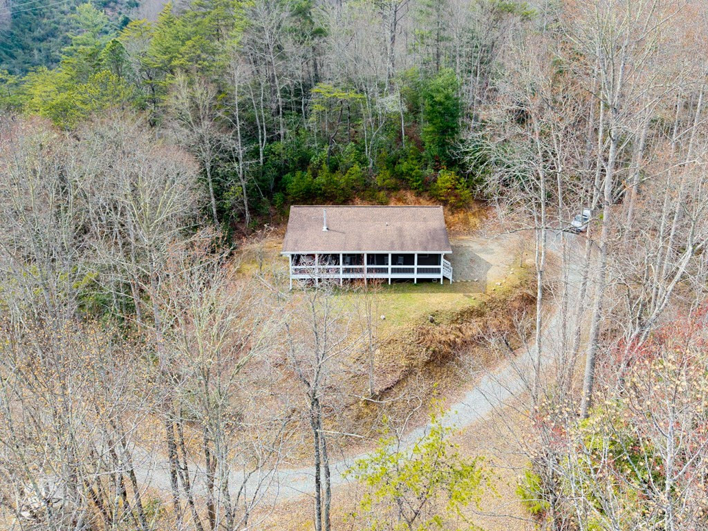 145 Raymond Wilson Road Topton, NC 28781 - Photo 5 of 31
