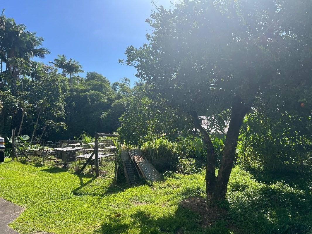 430 Kaiwiki Road Hilo, HI 96720 - Photo 2 of 16 a view of swimming pool from a backyard