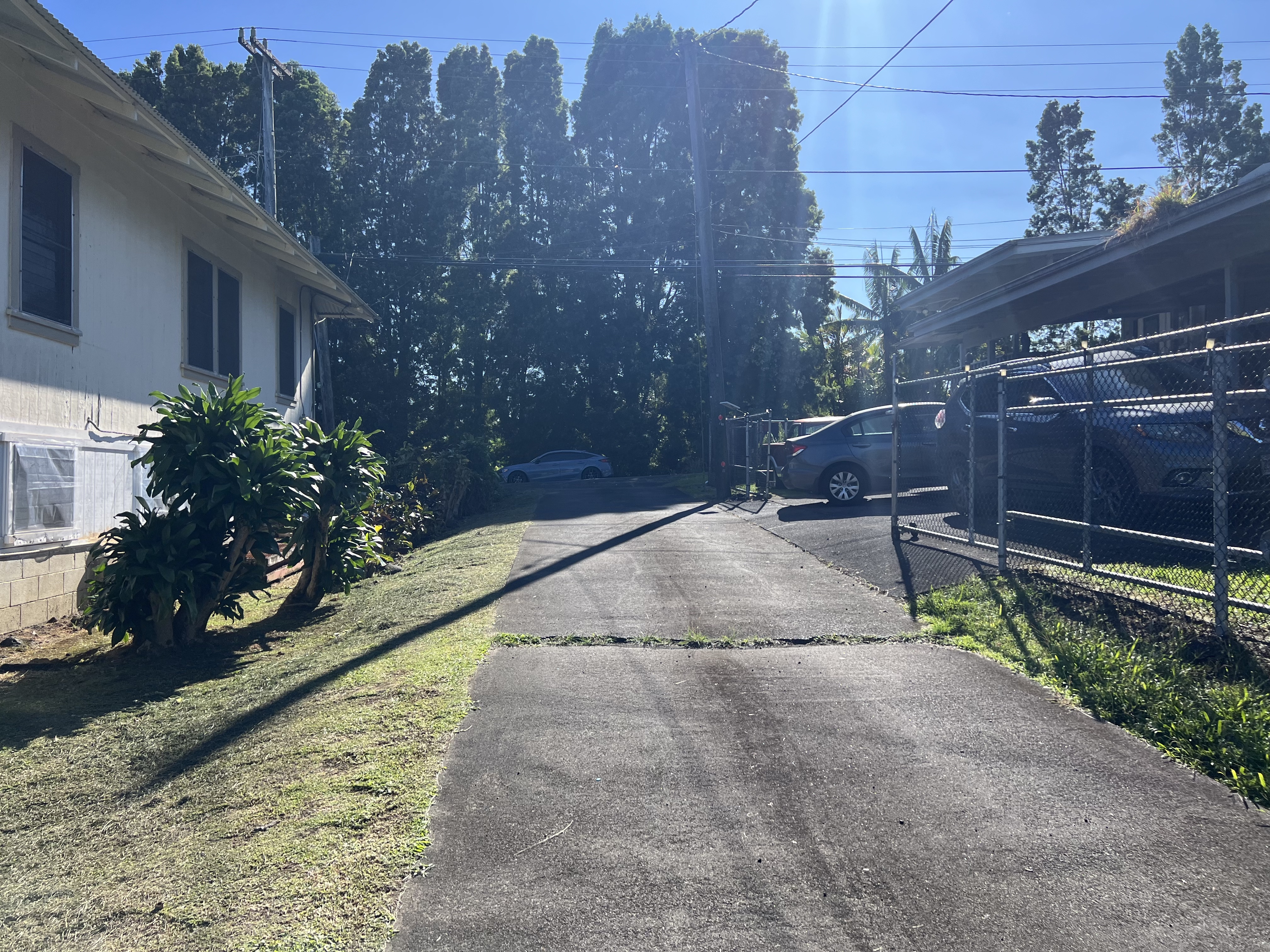 430 Kaiwiki Road Hilo, HI 96720 - Photo 9 of 16 a view of a yard with flower plants