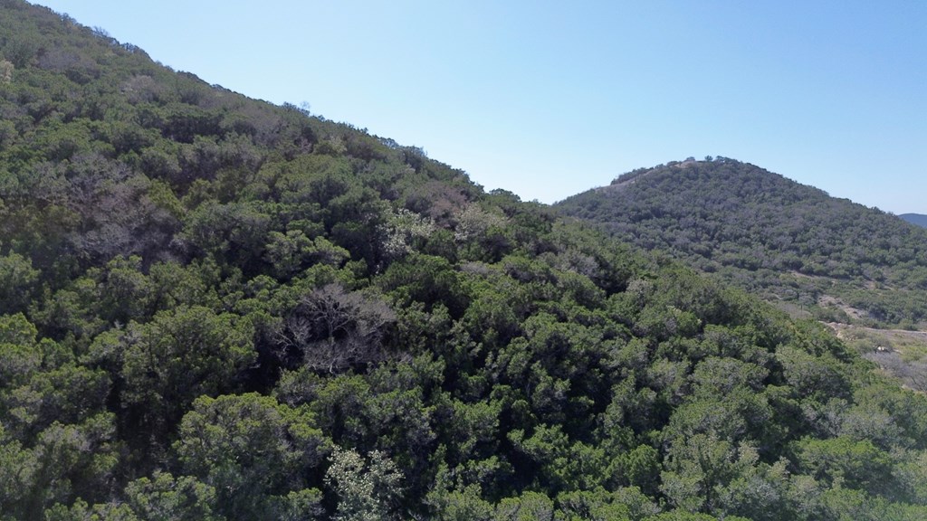 Tbd Tbd Other Bandera, TX 78003 - Photo 5 of 14 an aerial view of mountain and tree