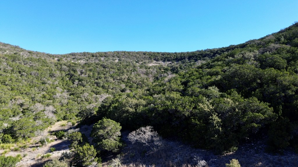 Tbd Tbd Other Bandera, TX 78003 - Photo 6 of 14 a view of a green field with lots of bushes