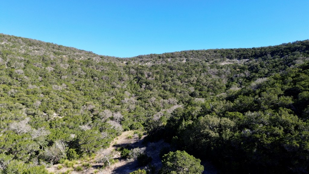 Tbd Tbd Other Bandera, TX 78003 - Photo 8 of 14 a view of a field with a mountain in the background