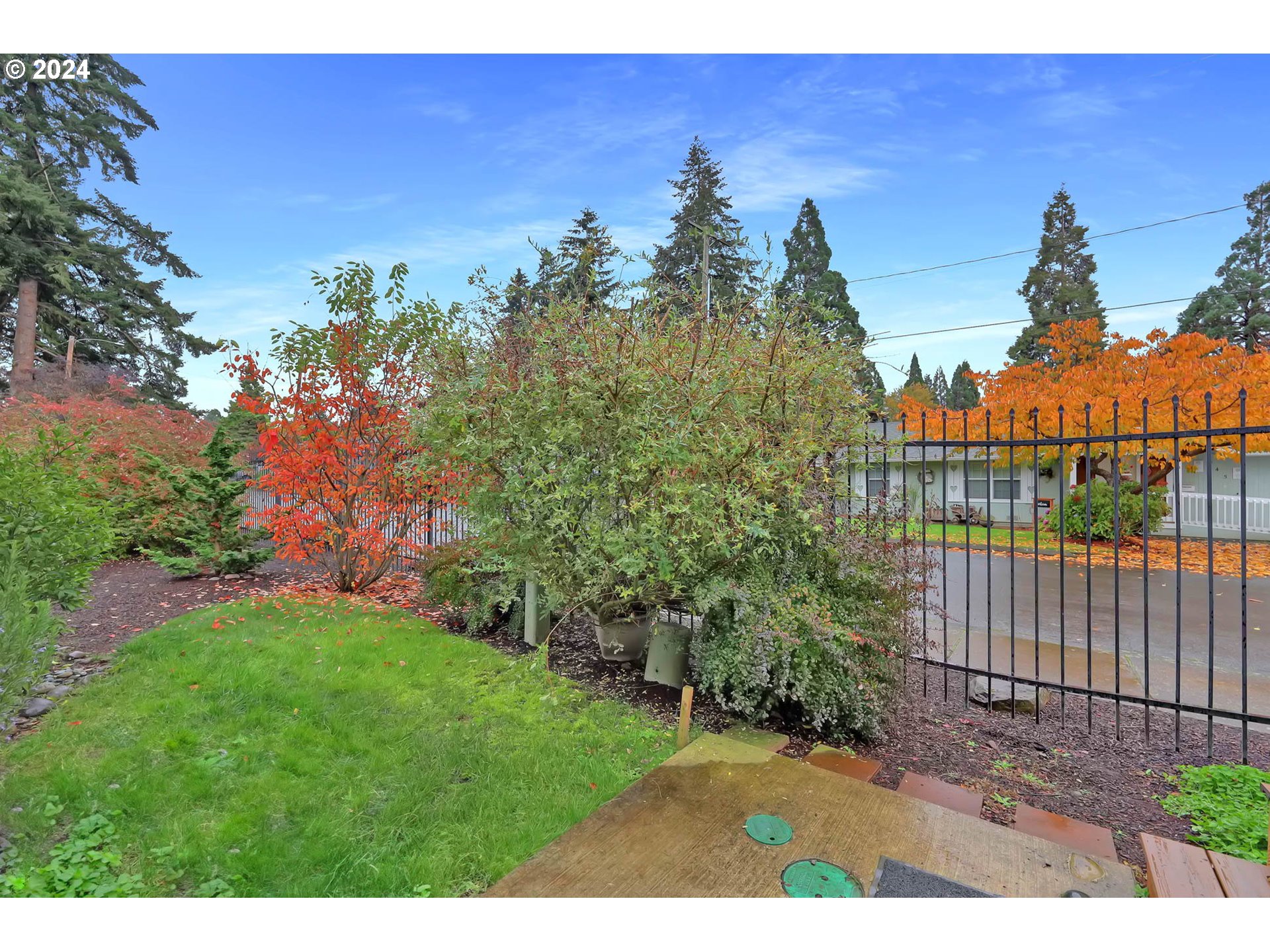 972 West L Street Springfield, OR 97477 - Photo 26 of 27 a view of a backyard