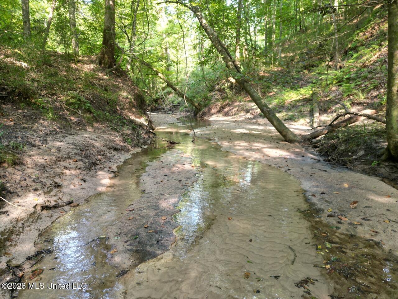 Well's Road Fayette, MS 39069 - Photo 9 of 45 DJI_0495 Large