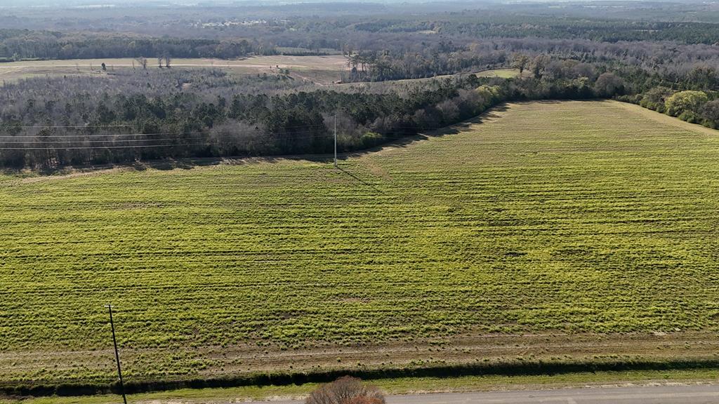 Lot 8 Gilley Mill Road Dothan, AL 36305 - Photo 4 of 4