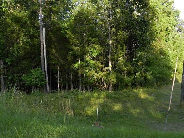 0 Wofford Road Gaffney, SC 29340 - Photo 3 of 7