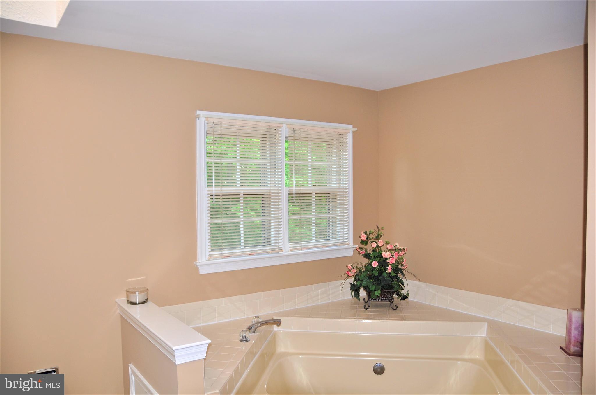 9009 Scott Street Springfield, VA 22153 - Photo 23 of 30 Bath (Master)