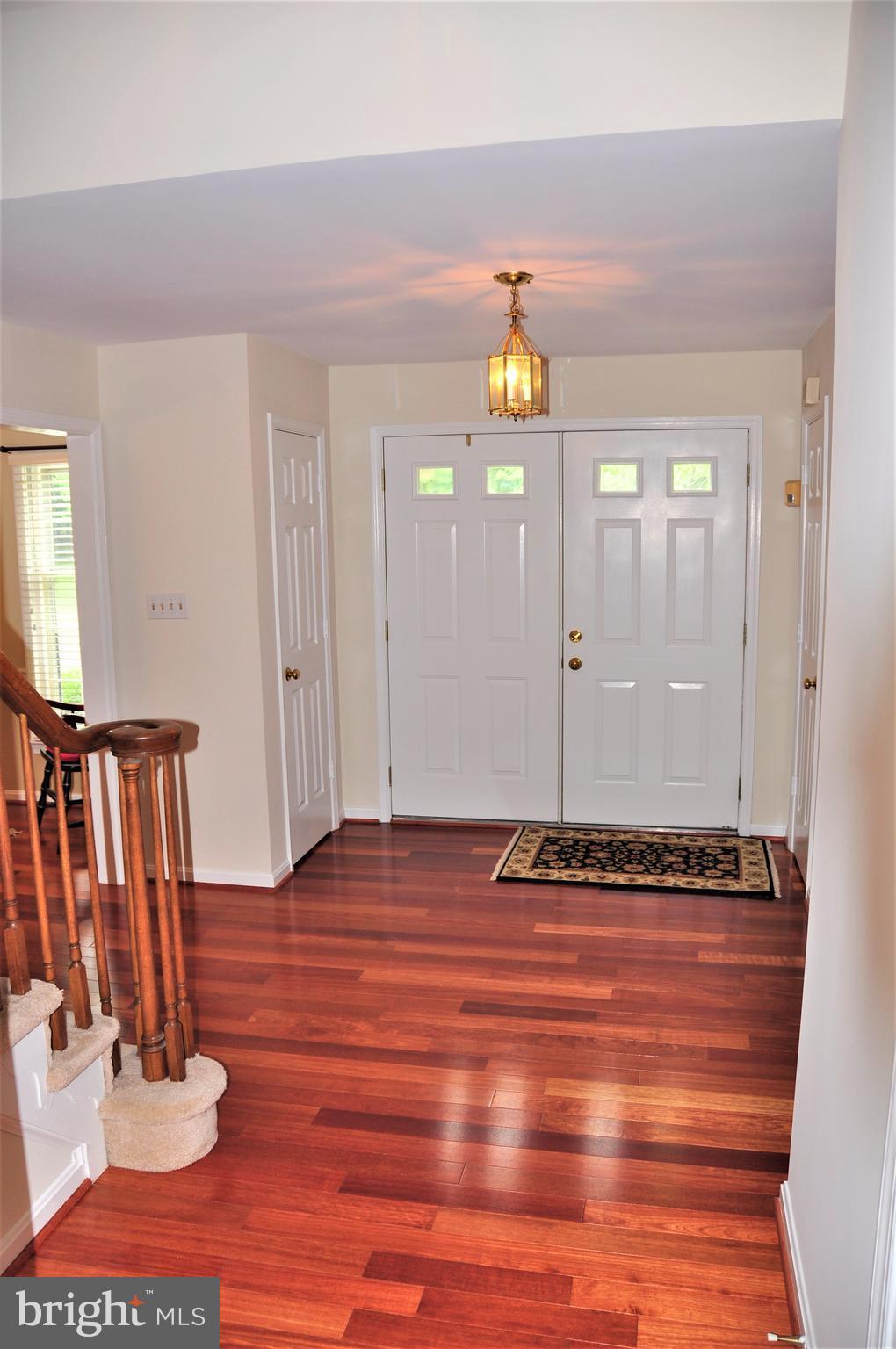 9009 Scott Street Springfield, VA 22153 - Photo 6 of 30 Interior (General)