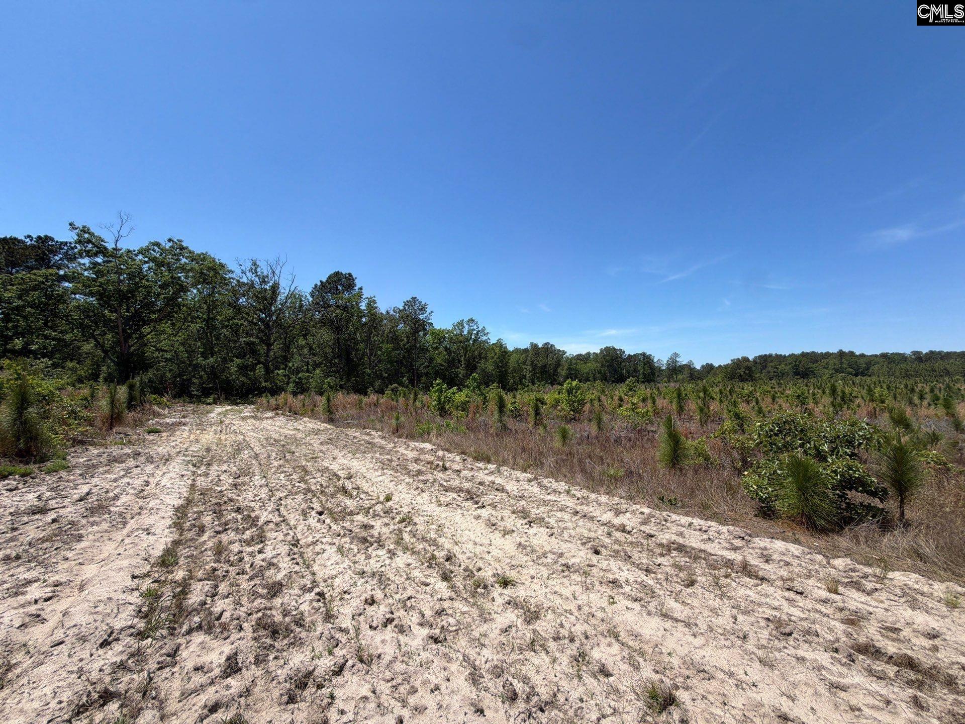 1 Holstein Road Monetta, SC 29105 - Photo 34 of 36