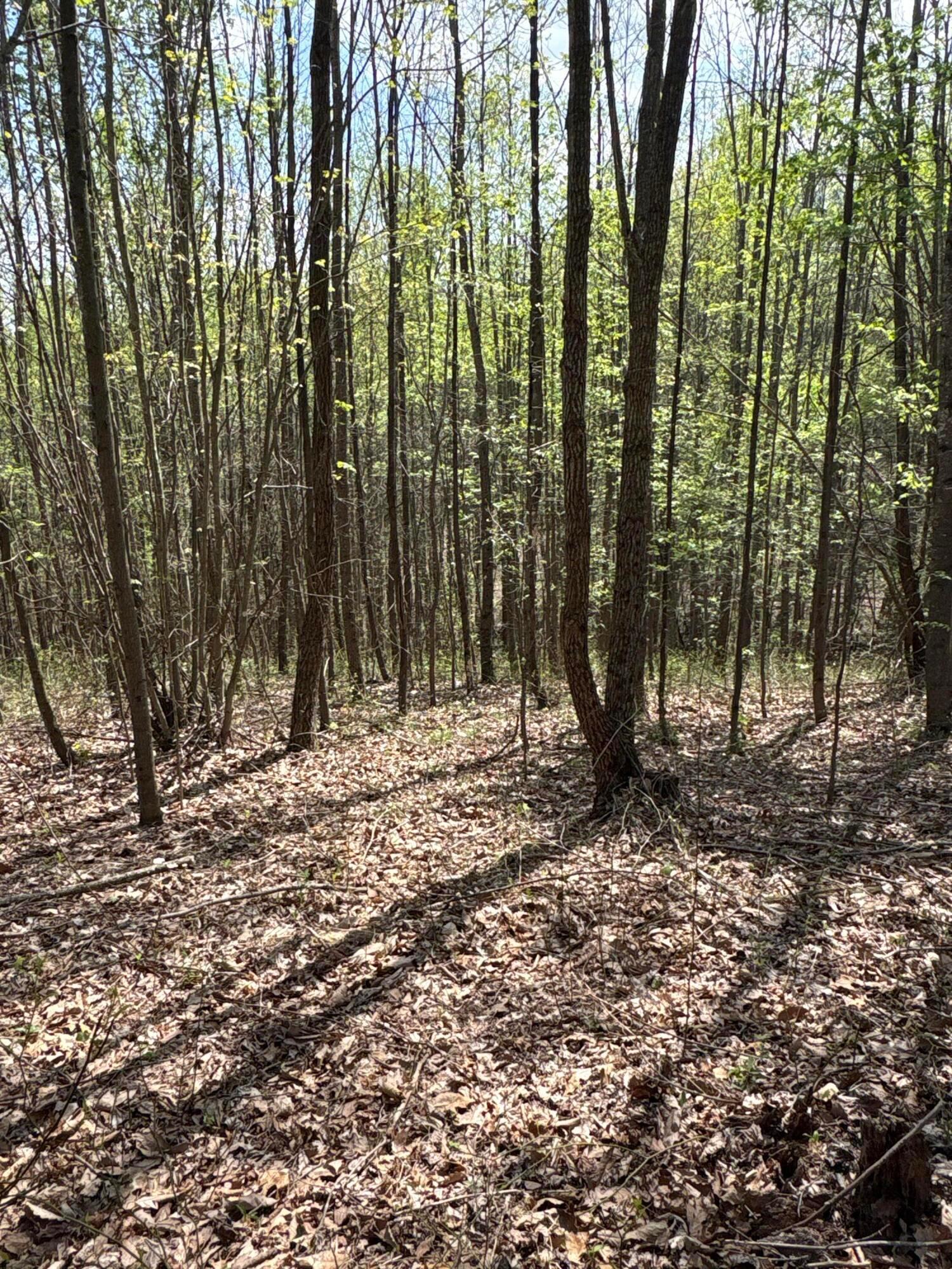 0 Pyle Road Lucasville, OH 45648 - Photo 24 of 26 pic 20
