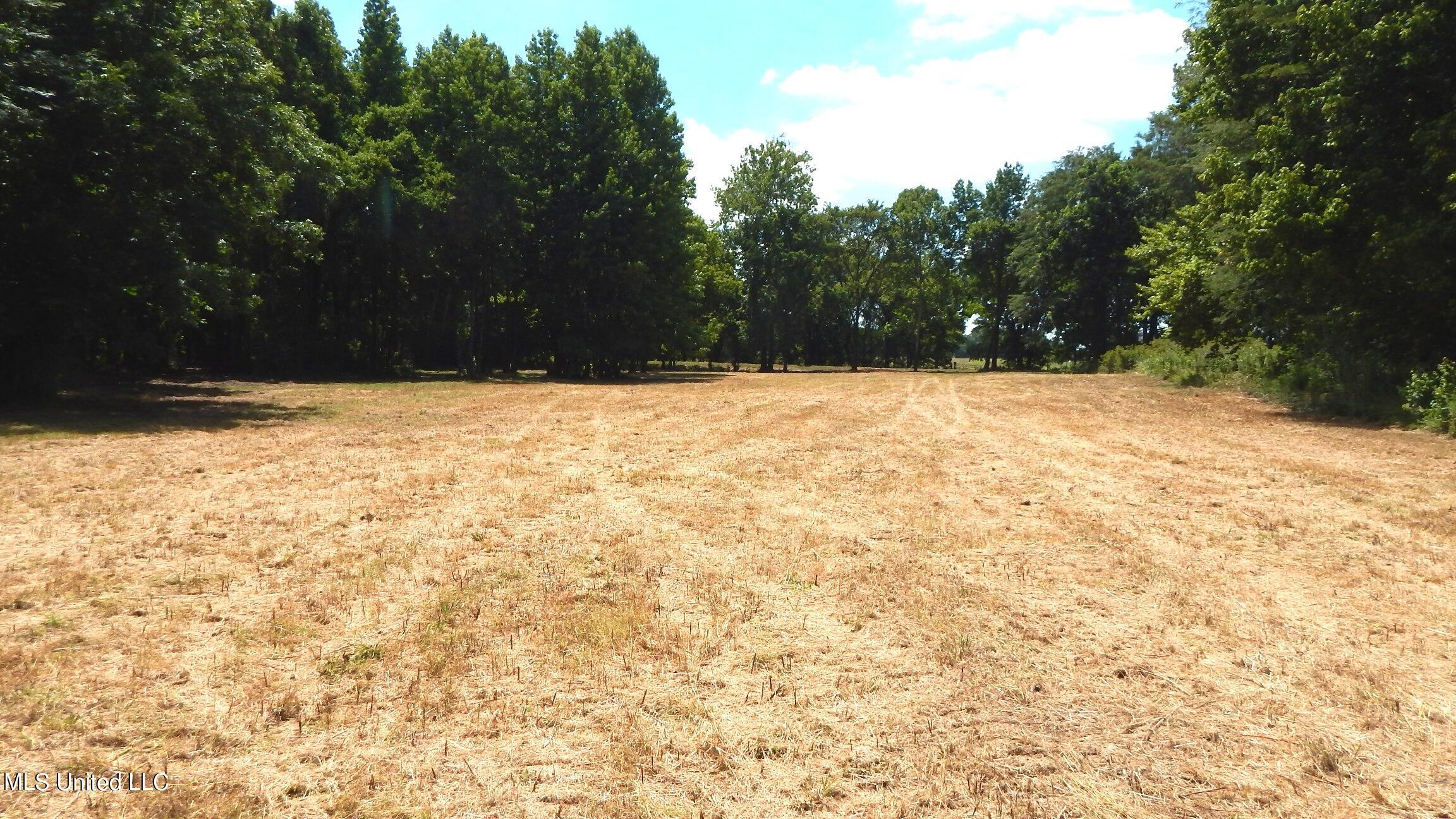 4400 North Fogg Road Nesbit, MS 38651 - Photo 1 of 26 Land