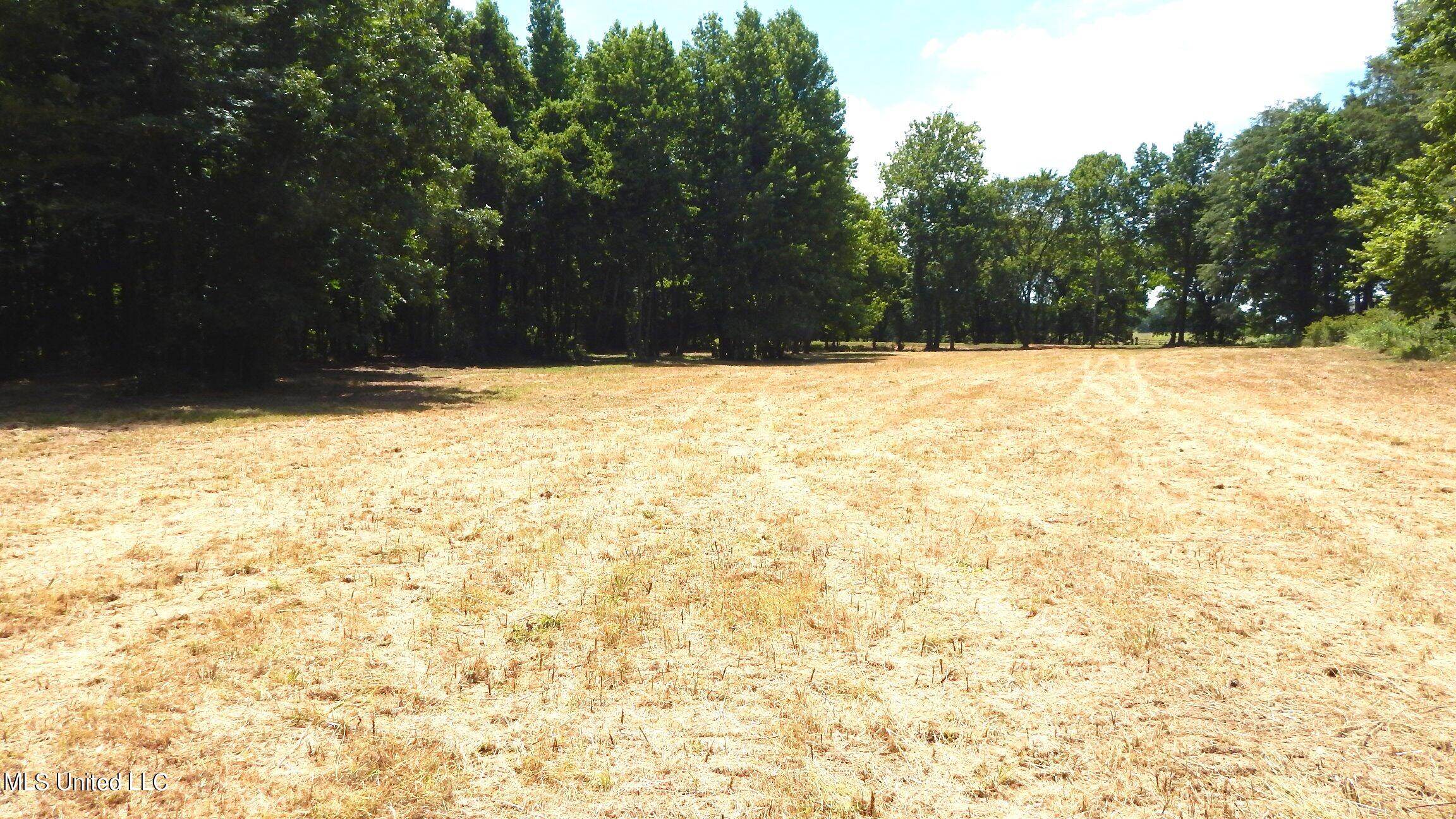 4400 North Fogg Road Nesbit, MS 38651 - Photo 11 of 26 4400 Fogg Rd 007