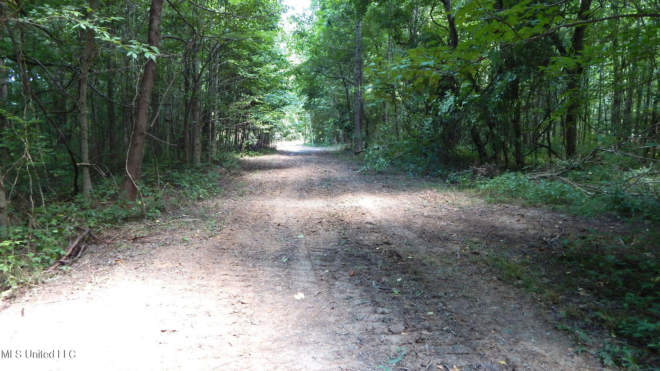 4400 North Fogg Road Nesbit, MS 38651 - Photo 12 of 26 4400 Fogg Rd 008