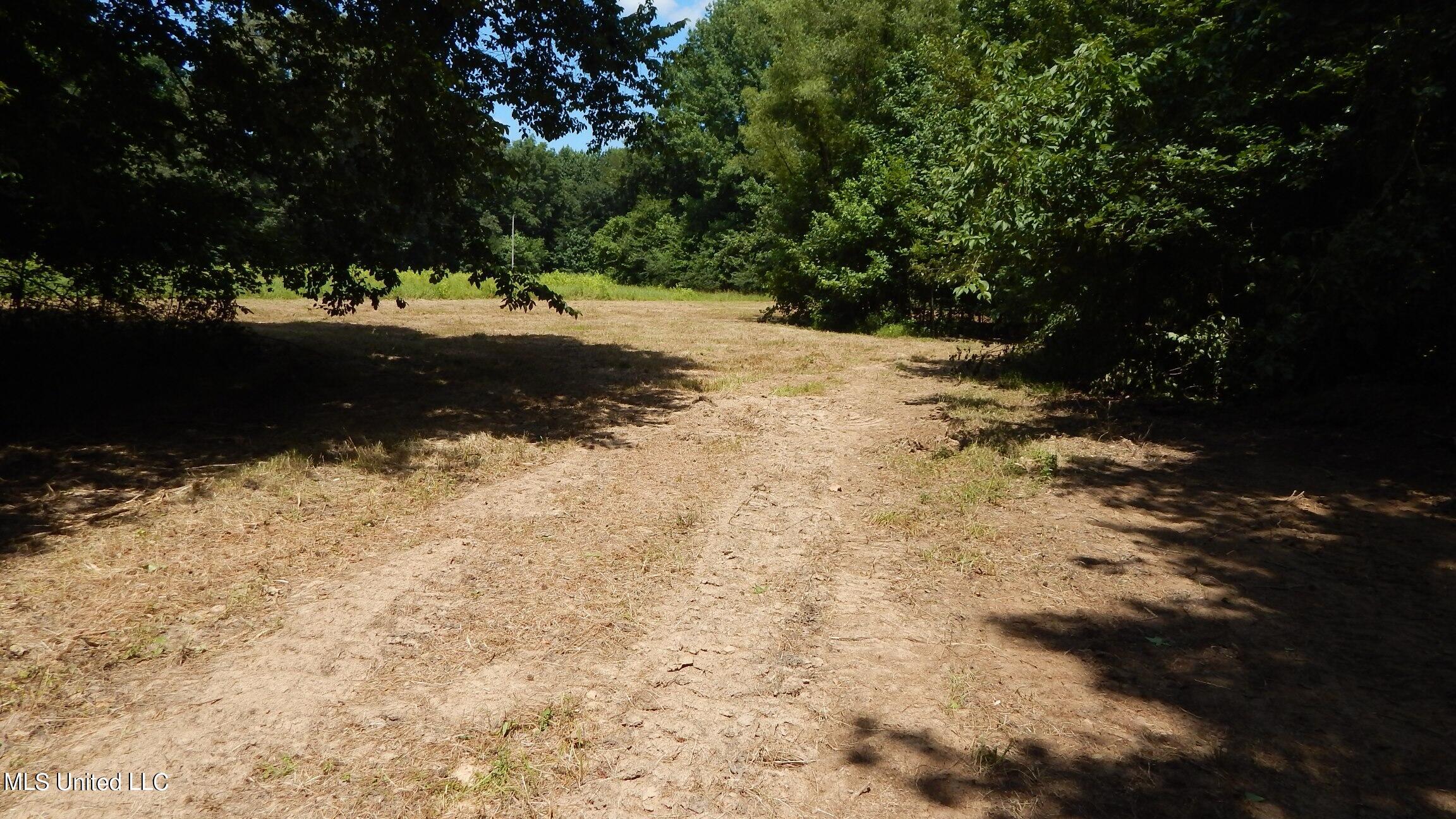 4400 North Fogg Road Nesbit, MS 38651 - Photo 13 of 26 4400 Fogg Rd 010