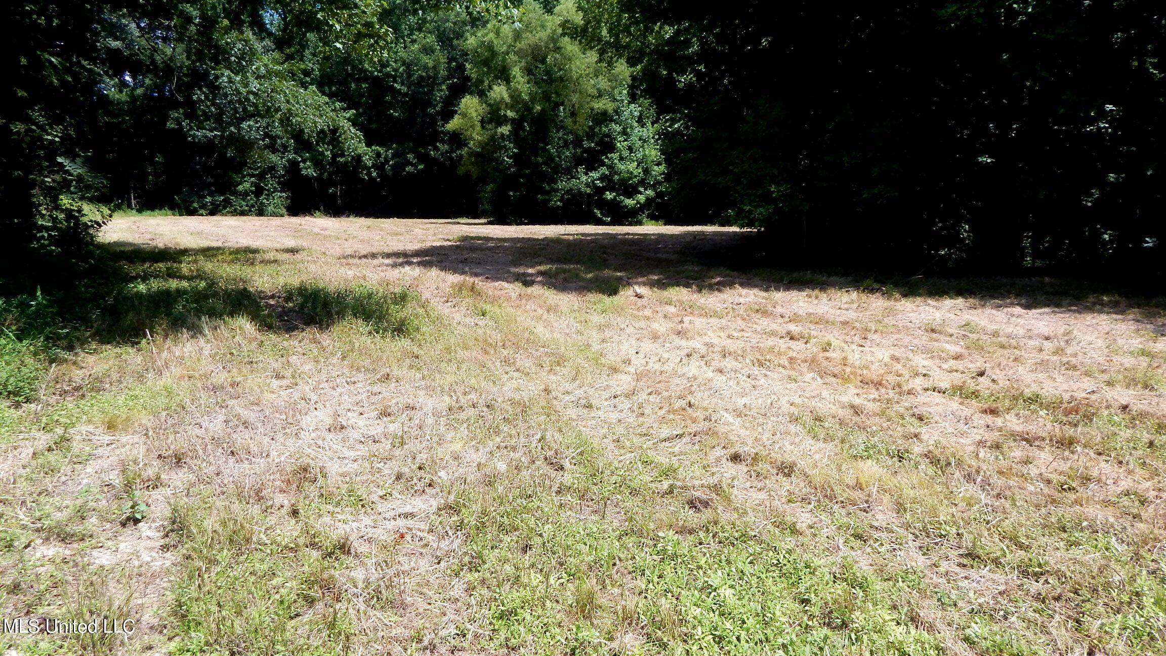 4400 North Fogg Road Nesbit, MS 38651 - Photo 14 of 26 4400 Fogg Rd 012