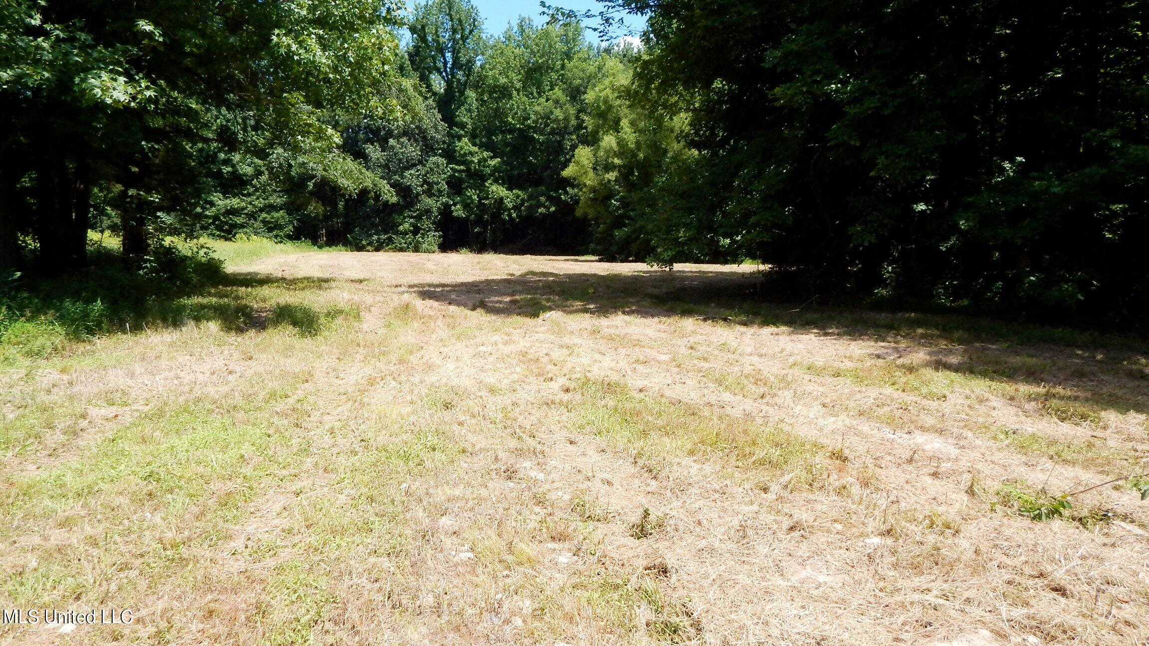 4400 North Fogg Road Nesbit, MS 38651 - Photo 15 of 26 4400 Fogg Rd 013