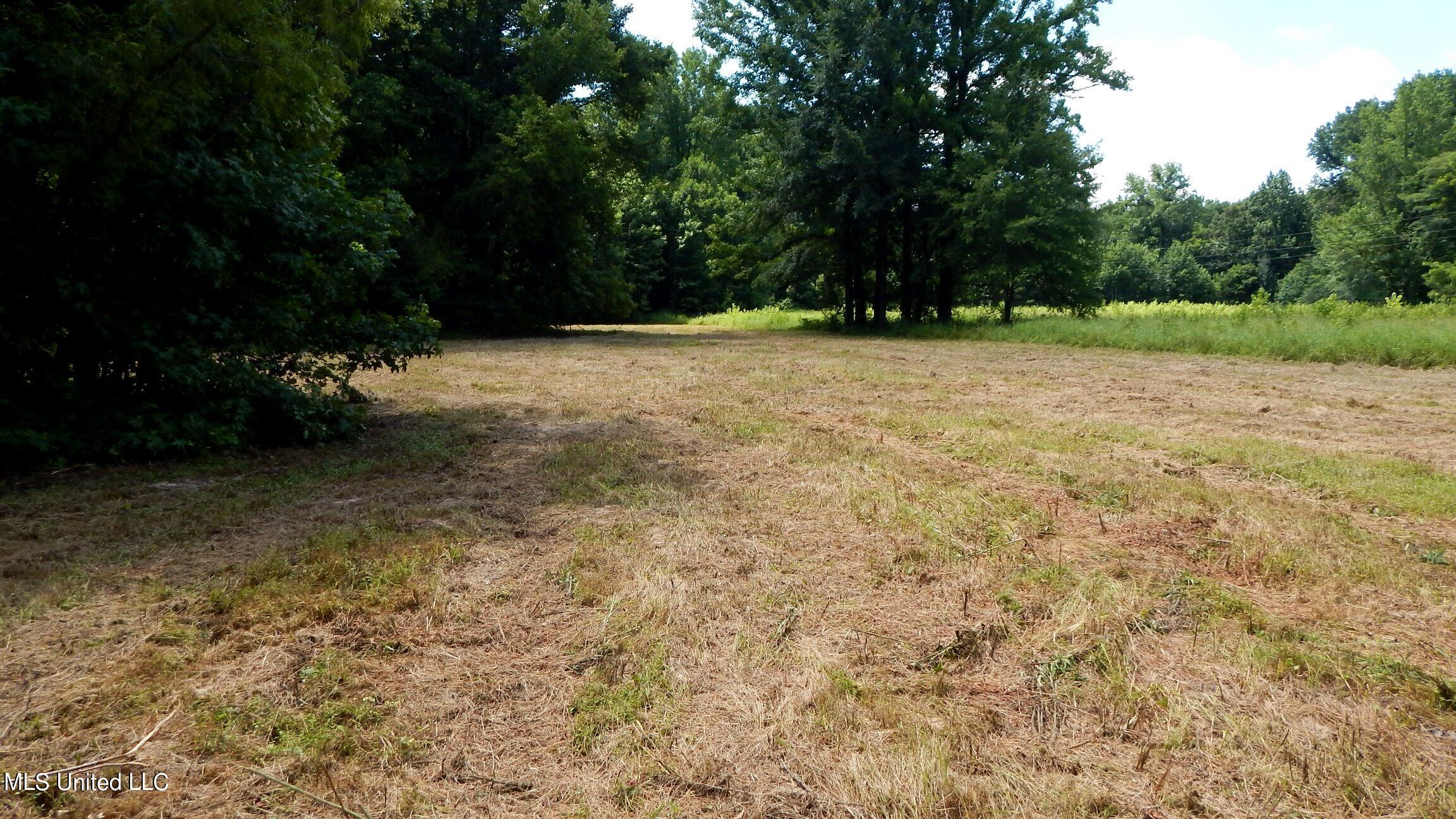 4400 North Fogg Road Nesbit, MS 38651 - Photo 16 of 26 4400 Fogg Rd 014