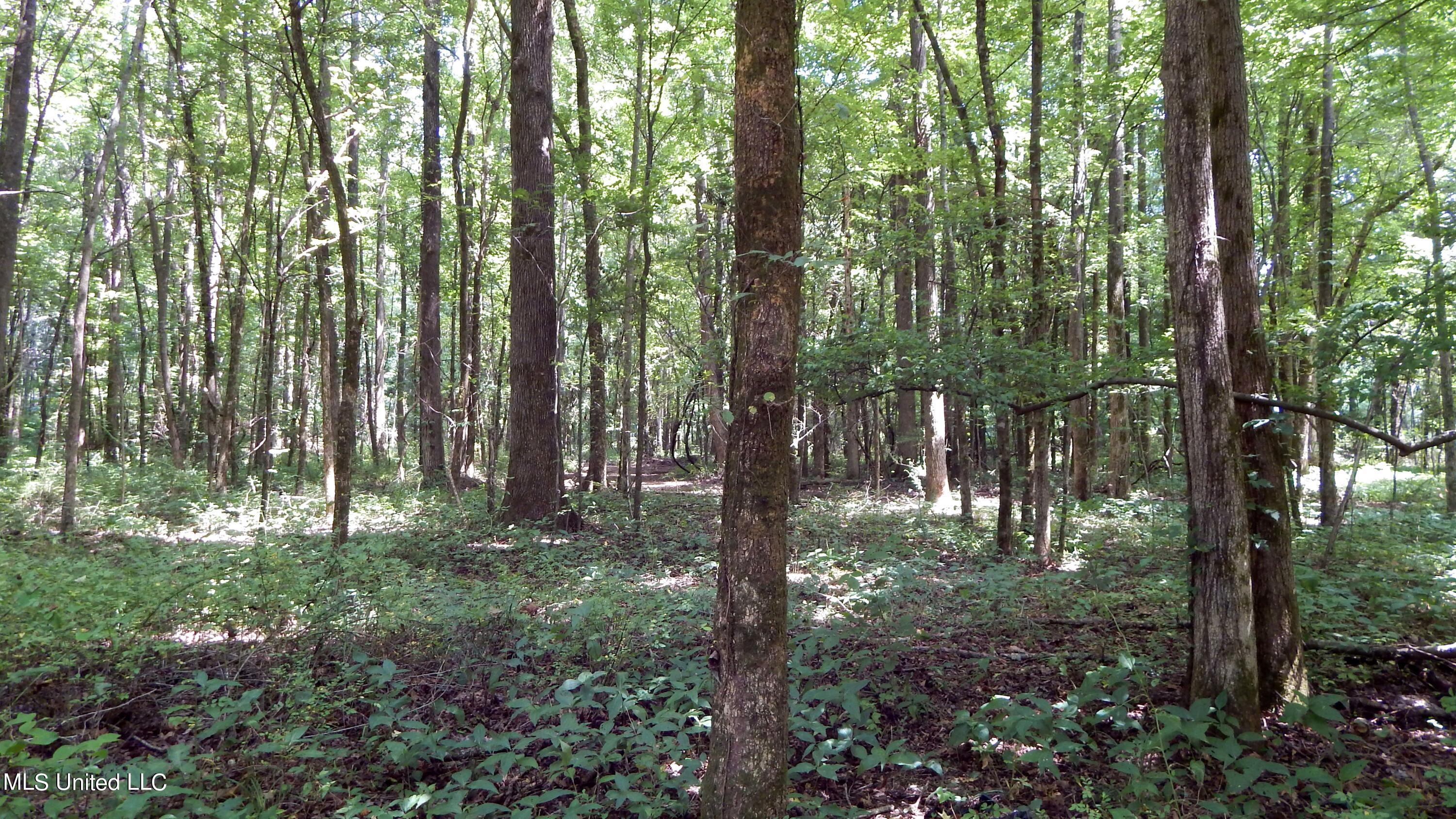 4400 North Fogg Road Nesbit, MS 38651 - Photo 17 of 26 4400 Fogg Rd 016