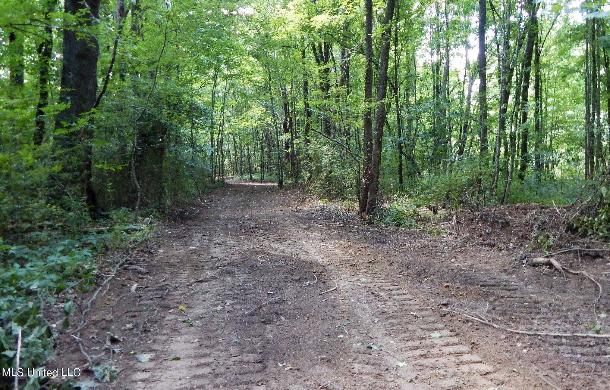 4400 North Fogg Road Nesbit, MS 38651 - Photo 18 of 26 4400 Fogg Rd 017
