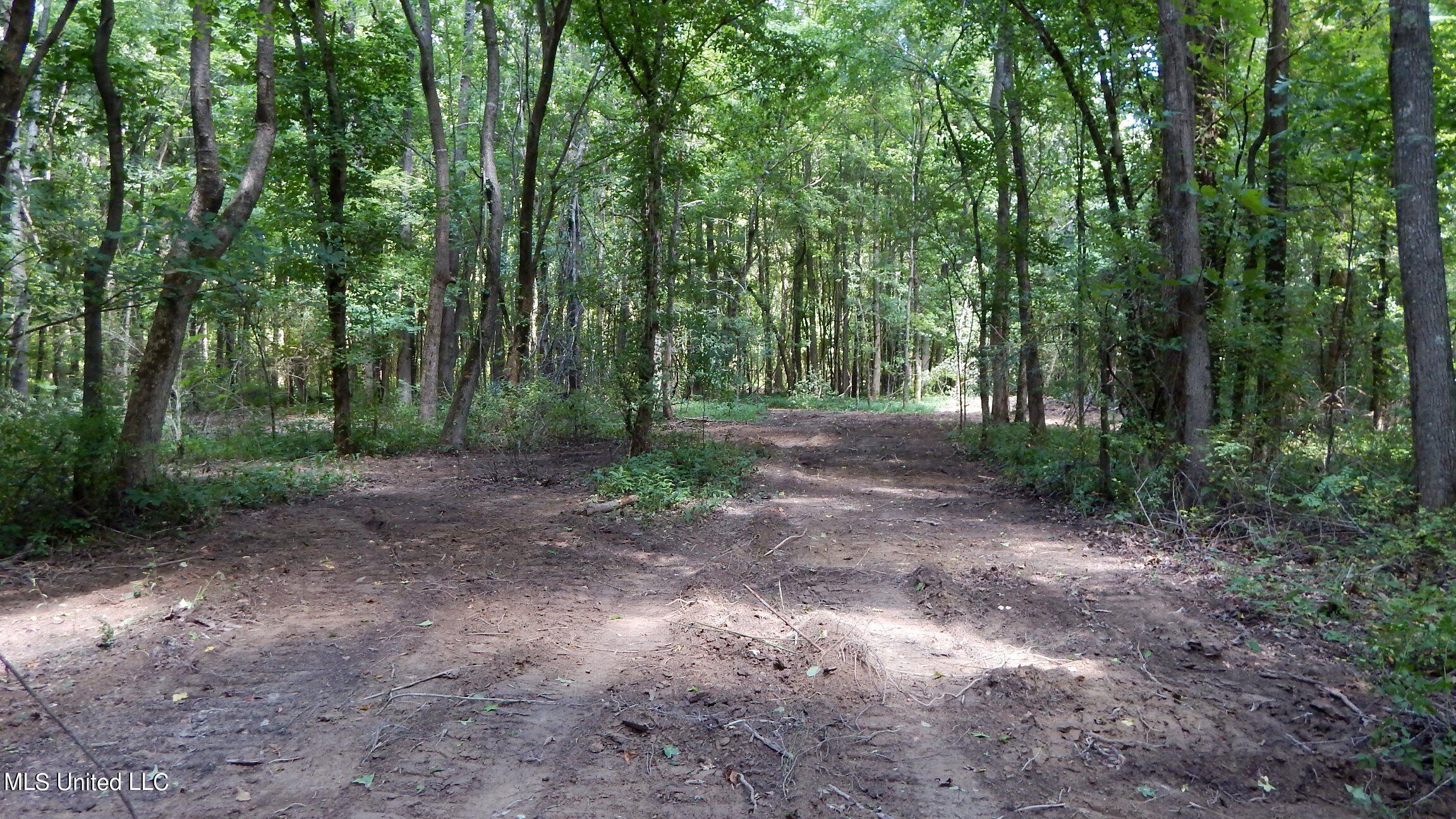 4400 North Fogg Road Nesbit, MS 38651 - Photo 19 of 26 4400 Fogg Rd 018