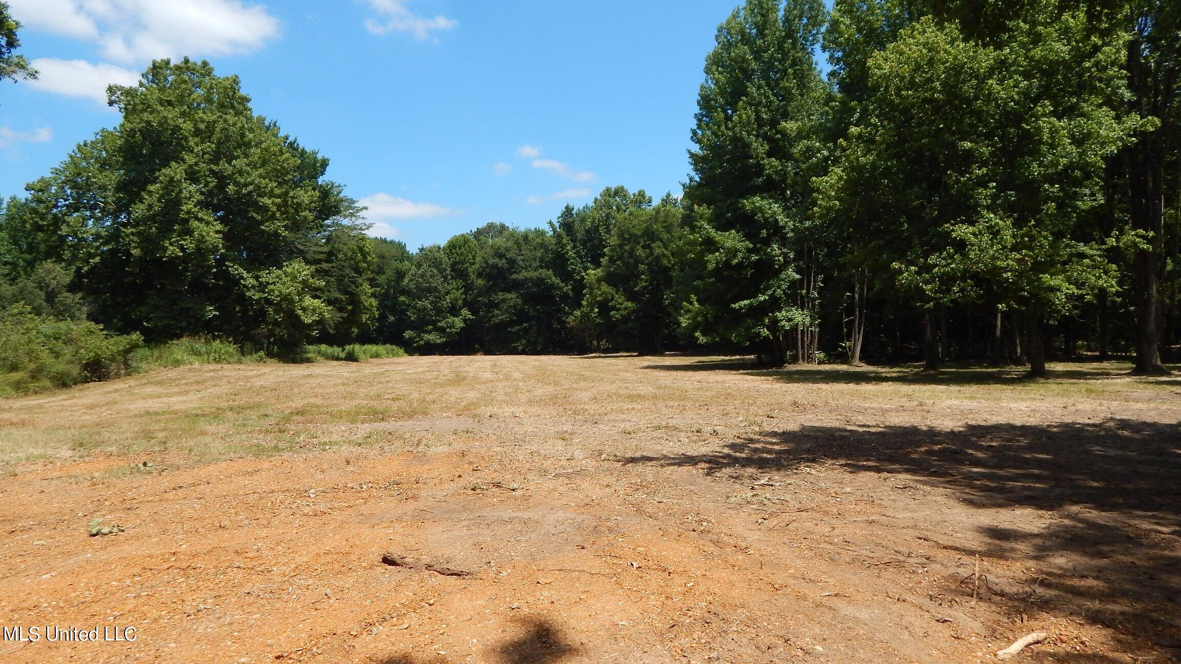 4400 North Fogg Road Nesbit, MS 38651 - Photo 2 of 26 4400 Fogg Rd 001