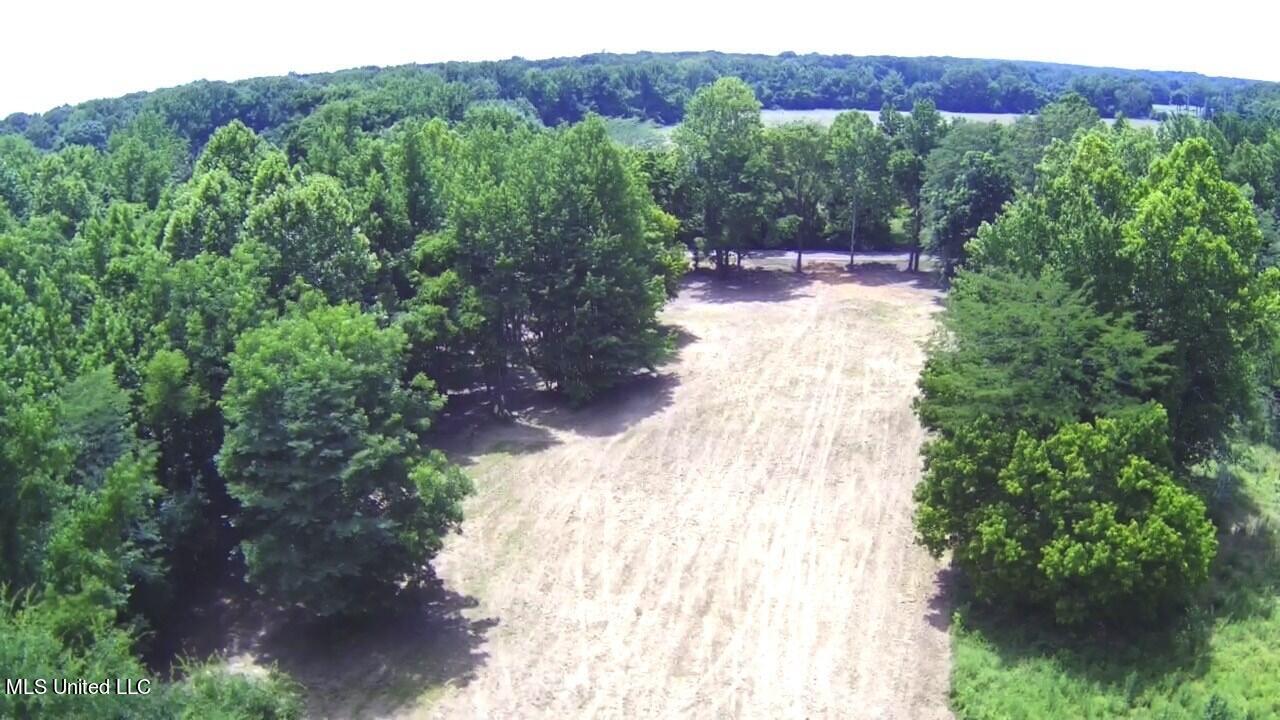 4400 North Fogg Road Nesbit, MS 38651 - Photo 3 of 26 2
