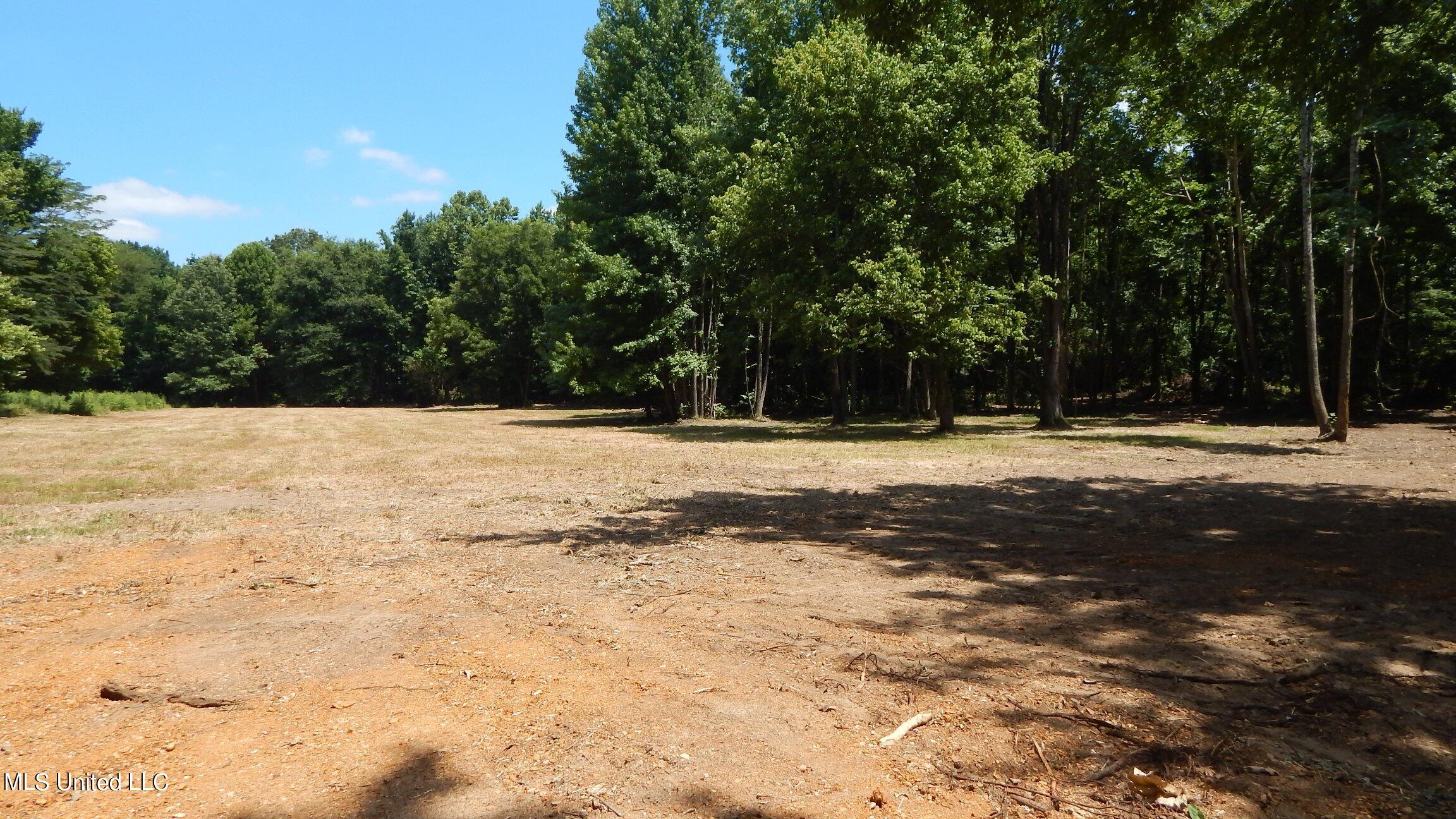 4400 North Fogg Road Nesbit, MS 38651 - Photo 4 of 26 4400 Fogg Rd 002