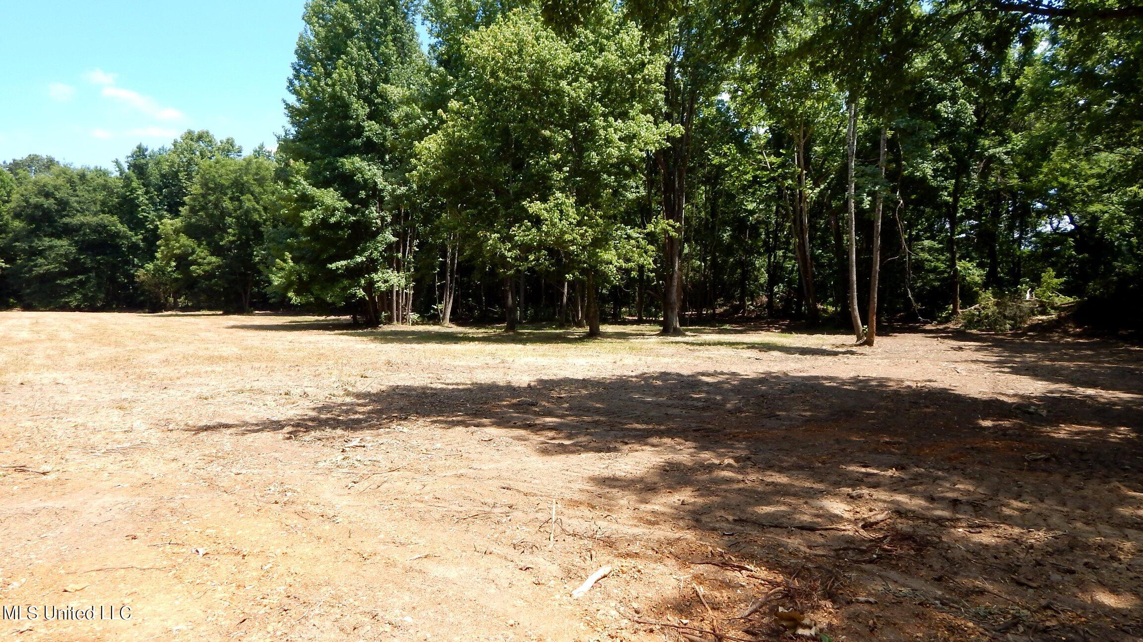 4400 North Fogg Road Nesbit, MS 38651 - Photo 5 of 26 4400 Fogg Rd 003