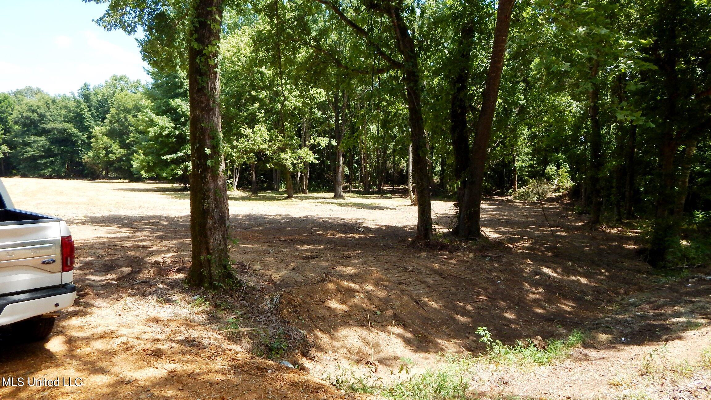 4400 North Fogg Road Nesbit, MS 38651 - Photo 6 of 26 4400 Fogg Rd 004