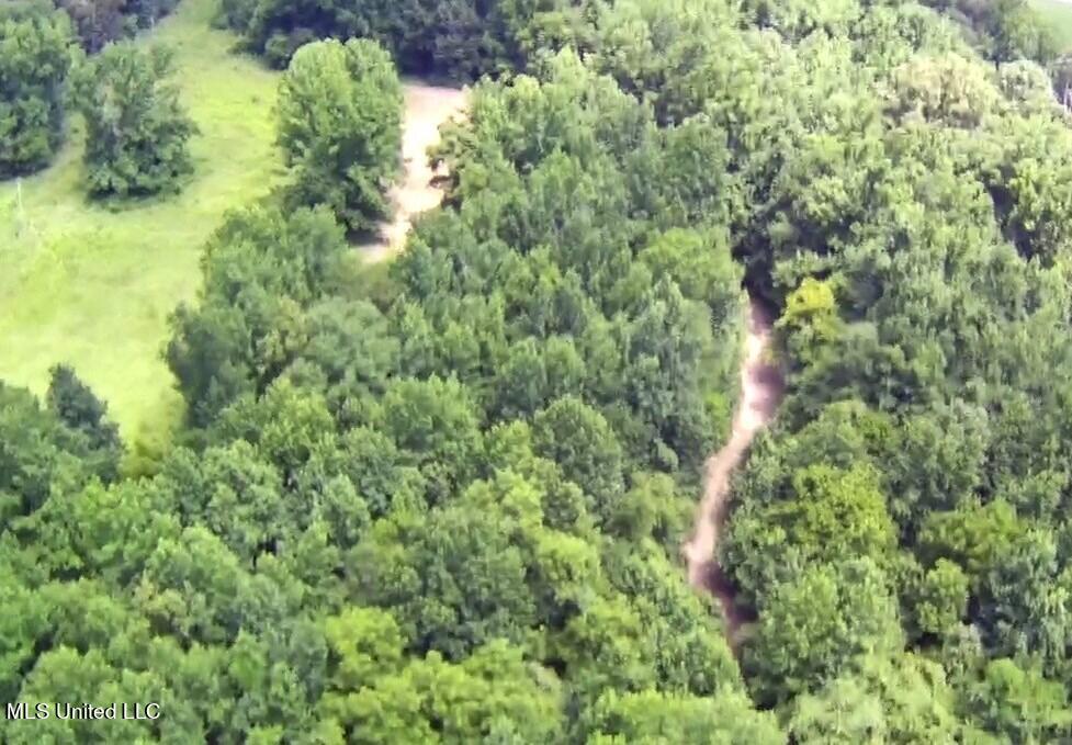 4400 North Fogg Road Nesbit, MS 38651 - Photo 9 of 26 1