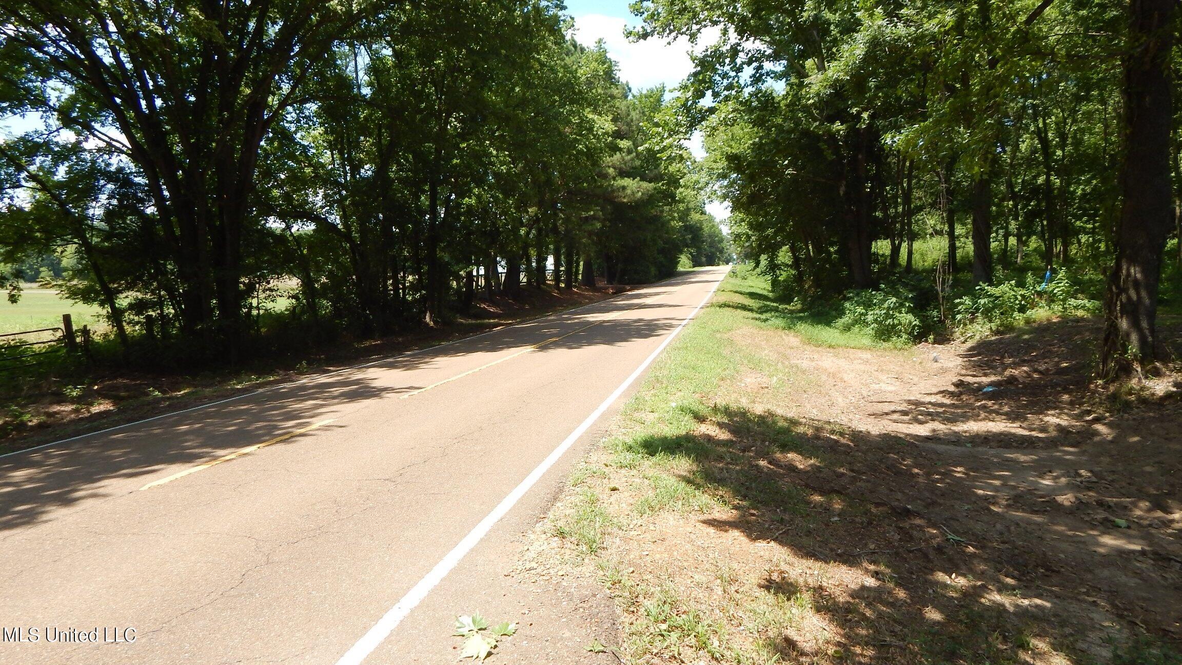 4400 North Fogg Road Nesbit, MS 38651 - Photo 10 of 26 4400 Fogg Rd 005