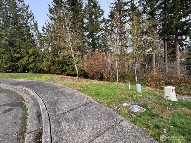 a view of a backyard with large trees