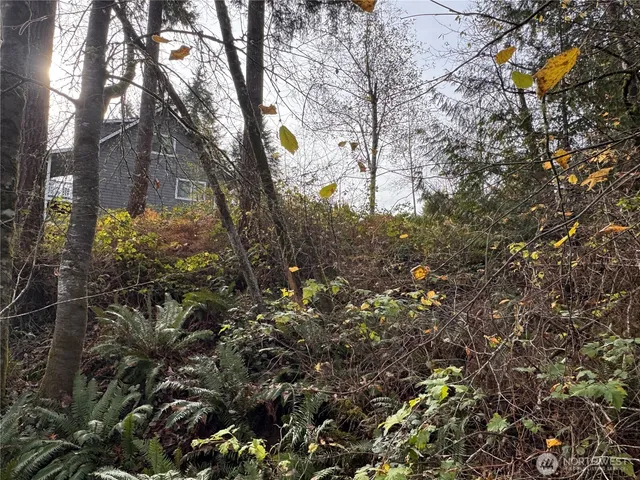 a backyard of a house with lots of green space