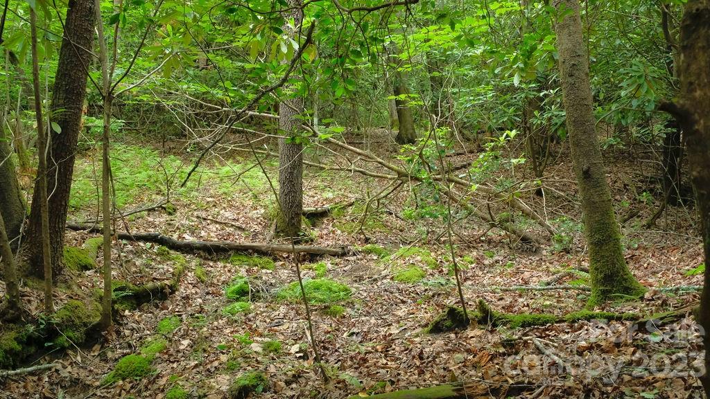 0 Wheatfield Road Franklin, NC 28734 - Photo 7 of 9 Gallery Image 7