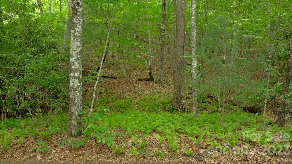 0 Wheatfield Road Franklin, NC 28734 - Photo 8 of 9 Gallery Image 8