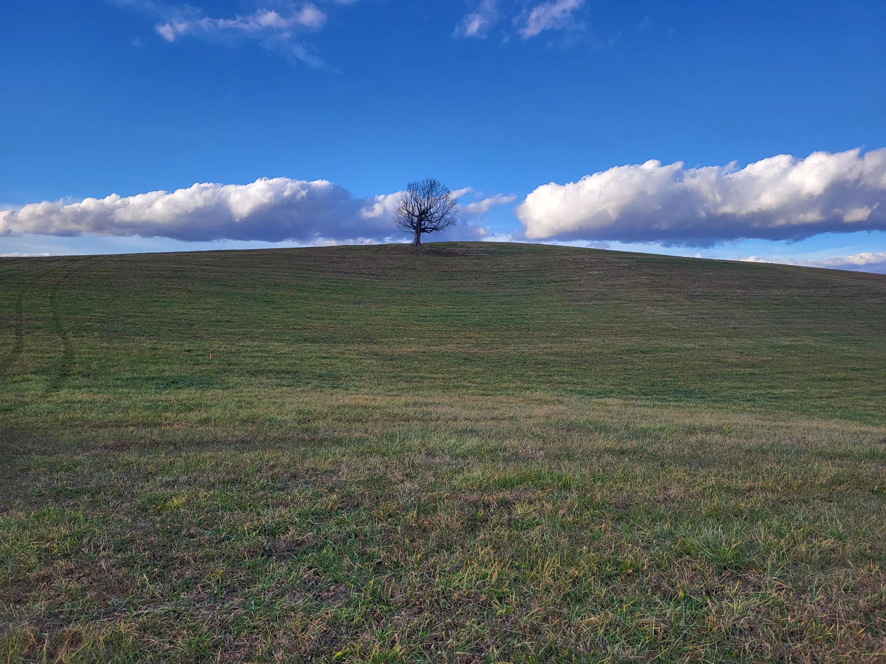 Lot 4 Jones Bridge Road Greeneville, TN 37743 - Photo 4 of 9 20231203_161101